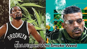 15 NBA Players Who Smoke Weed In The World Revealing Now - Kevin Durant, LeBron James, Stephen Jackson, Steve Nash