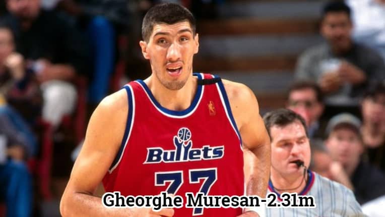 Gheorghe Muresan-2.31m Tallest NBA Active Player Right Now 