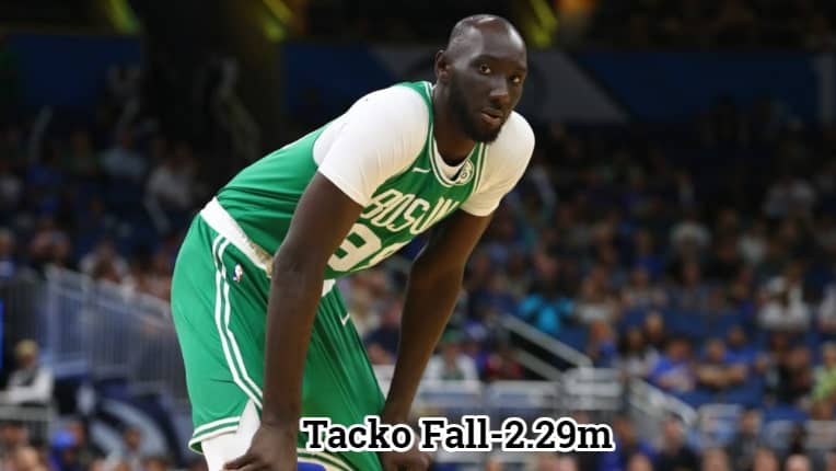 Tacko Fall-2.29m Tallest NBA Active Player Right Now